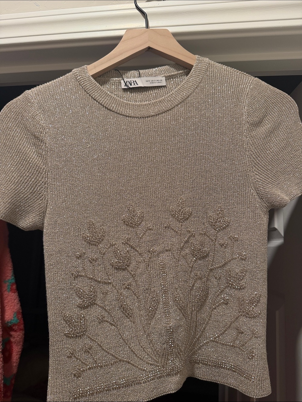 Zara Metallic Beige Short-Sleeve